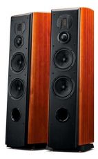 Напольная акустика Swan M6F